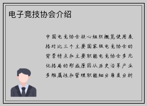 电子竞技协会介绍